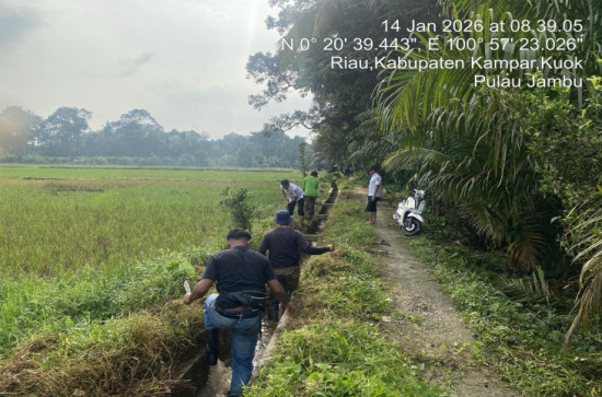 Gotong Royong Membersihkan Saluran Irigasi di Desa Pulau Jambu